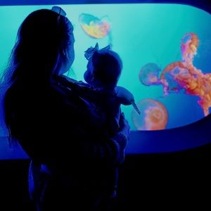 Meet your Posher, Alexandra